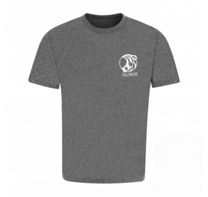 Norse Urban Cool Unisex Vegan T-Shirt Grey